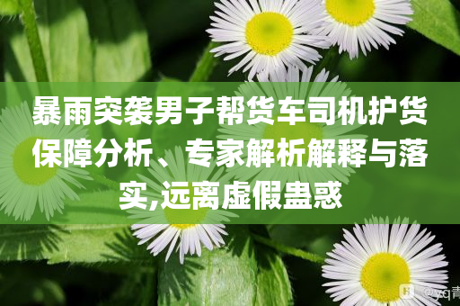 暴雨突襲男子幫貨車司機(jī)護(hù)貨保障分析、專家解析解釋與落實(shí),遠(yuǎn)離虛假蠱惑
