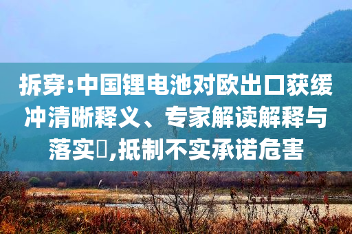 拆穿:中國鋰電池對歐出口獲緩沖清晰釋義、專家解讀解釋與落實(shí)?,抵制不實(shí)承諾危害