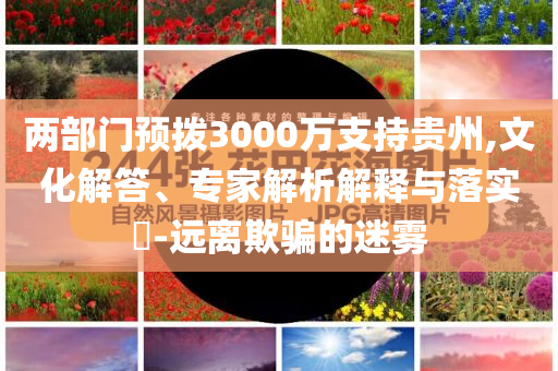 兩部門預撥3000萬支持貴州,文化解答、專家解析解釋與落實?-遠離欺騙的迷霧