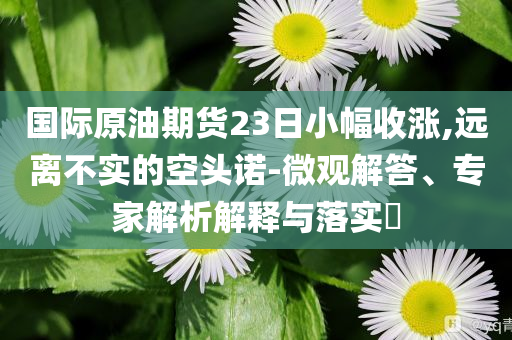 國際原油期貨23日小幅收漲,遠(yuǎn)離不實(shí)的空頭諾-微觀解答、專家解析解釋與落實(shí)?