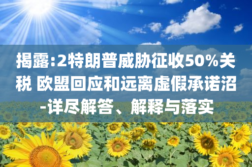 揭露:2特朗普威脅征收50%關稅 歐盟回應和遠離虛假承諾沼-詳盡解答、解釋與落實