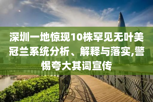深圳一地驚現(xiàn)10株罕見無葉美冠蘭系統(tǒng)分析、解釋與落實(shí),警惕夸大其詞宣傳