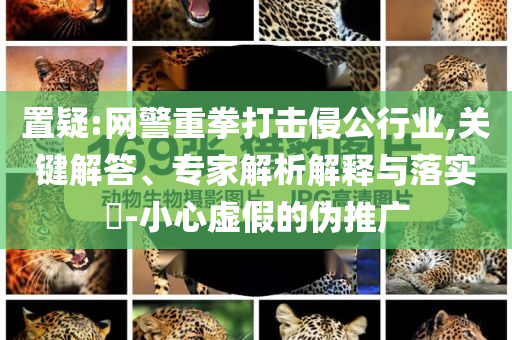 置疑:網(wǎng)警重拳打擊侵公行業(yè),關(guān)鍵解答、專家解析解釋與落實?-小心虛假的偽推廣