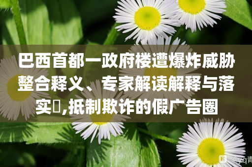 巴西首都一政府樓遭爆炸威脅整合釋義、專家解讀解釋與落實?,抵制欺詐的假廣告圈