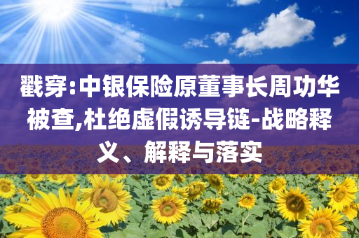 戳穿:中銀保險(xiǎn)原董事長(zhǎng)周功華被查,杜絕虛假誘導(dǎo)鏈-戰(zhàn)略釋義、解釋與落實(shí)