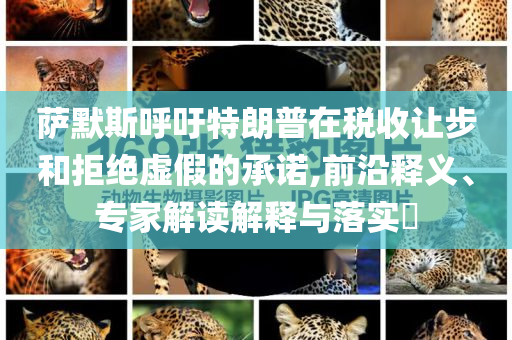 薩默斯呼吁特朗普在稅收讓步和拒絕虛假的承諾,前沿釋義、專家解讀解釋與落實?