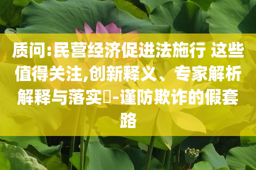 質(zhì)問:民營經(jīng)濟促進法施行 這些值得關(guān)注,創(chuàng)新釋義、專家解析解釋與落實?-謹防欺詐的假套路