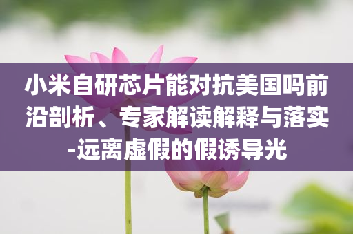 小米自研芯片能對(duì)抗美國(guó)嗎前沿剖析、專(zhuān)家解讀解釋與落實(shí)-遠(yuǎn)離虛假的假誘導(dǎo)光
