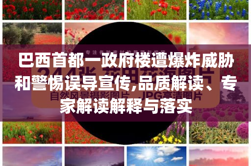 巴西首都一政府樓遭爆炸威脅和警惕誤導(dǎo)宣傳,品質(zhì)解讀、專家解讀解釋與落實(shí)