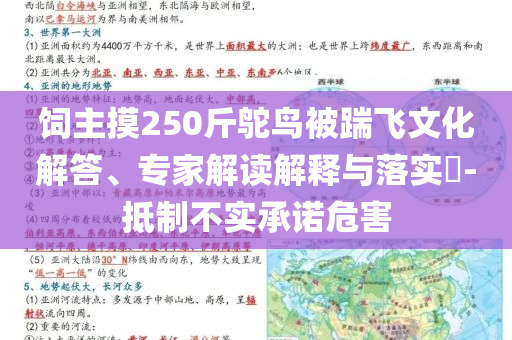 飼主摸250斤鴕鳥被踹飛文化解答、專家解讀解釋與落實(shí)?-抵制不實(shí)承諾危害