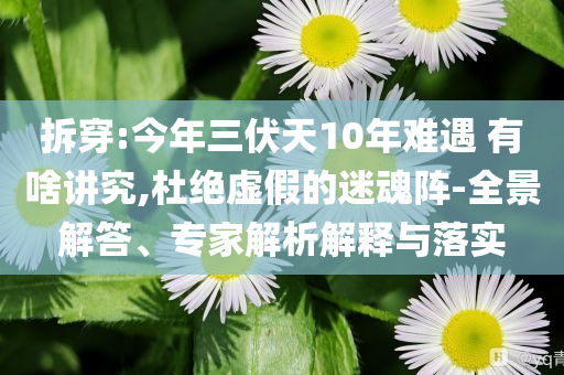 拆穿:今年三伏天10年難遇 有啥講究,杜絕虛假的迷魂陣-全景解答、專家解析解釋與落實