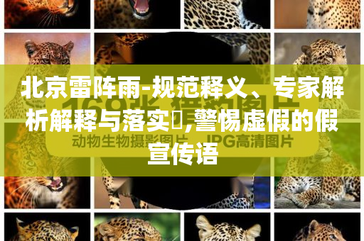 北京雷陣雨-規(guī)范釋義、專家解析解釋與落實(shí)?,警惕虛假的假宣傳語