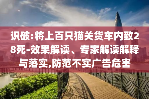 識破:將上百只貓關(guān)貨車內(nèi)致28死-效果解讀、專家解讀解釋與落實,防范不實廣告危害