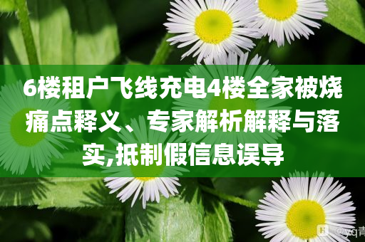 6樓租戶飛線充電4樓全家被燒痛點釋義、專家解析解釋與落實,抵制假信息誤導(dǎo)