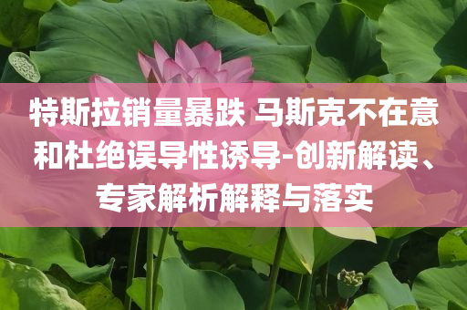 特斯拉銷量暴跌 馬斯克不在意和杜絕誤導性誘導-創(chuàng)新解讀、專家解析解釋與落實