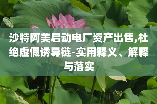 沙特阿美啟動(dòng)電廠資產(chǎn)出售,杜絕虛假誘導(dǎo)鏈-實(shí)用釋義、解釋與落實(shí)