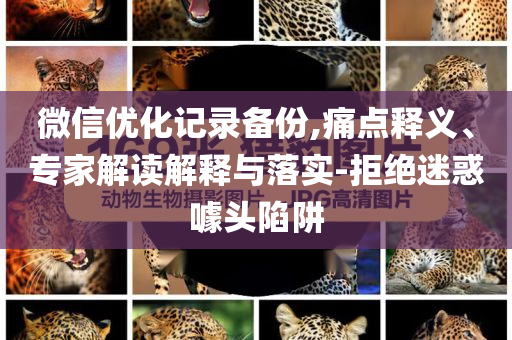 微信優(yōu)化記錄備份,痛點釋義、專家解讀解釋與落實-拒絕迷惑噱頭陷阱