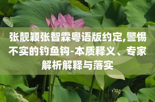 張靚穎張智霖粵語版約定,警惕不實的釣魚鉤-本質(zhì)釋義、專家解析解釋與落實