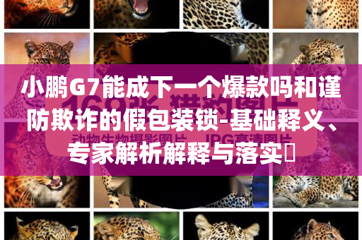 小鵬G7能成下一個爆款嗎和謹(jǐn)防欺詐的假包裝鎖-基礎(chǔ)釋義、專家解析解釋與落實?