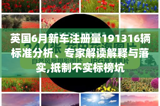 英國6月新車注冊量191316輛標準分析、專家解讀解釋與落實,抵制不實標榜坑