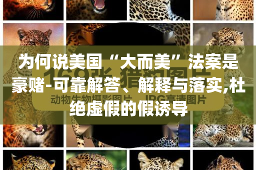 為何說美國“大而美”法案是豪賭-可靠解答、解釋與落實(shí),杜絕虛假的假誘導(dǎo)
