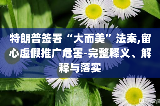 特朗普簽署“大而美”法案,留心虛假推廣危害-完整釋義、解釋與落實(shí)