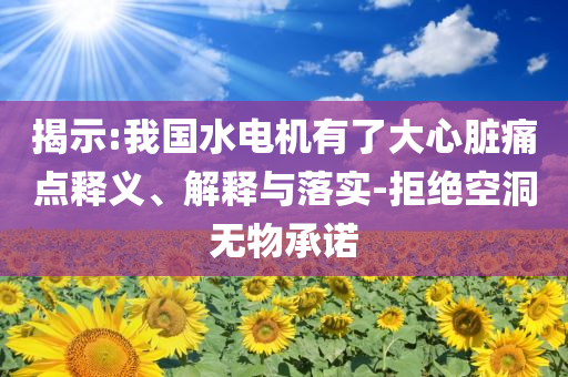 揭示:我國水電機有了大心臟痛點釋義、解釋與落實-拒絕空洞無物承諾