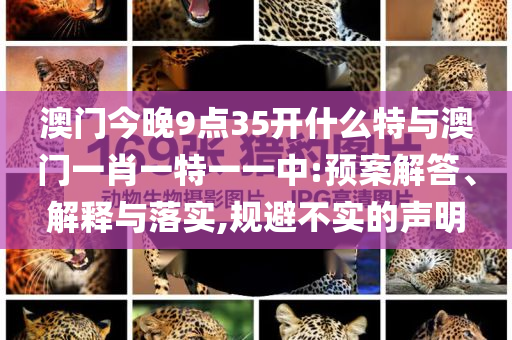 澳門今晚9點(diǎn)35開什么特與澳門一肖一特一一中:預(yù)案解答、解釋與落實(shí),規(guī)避不實(shí)的聲明