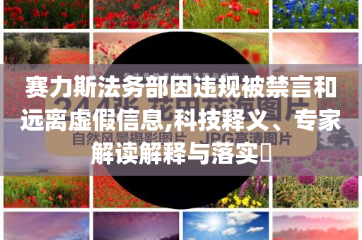 賽力斯法務(wù)部因違規(guī)被禁言和遠(yuǎn)離虛假信息,科技釋義、專家解讀解釋與落實(shí)?