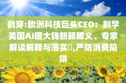 戳穿:歐洲科技巨頭CEO：別學(xué)美國AI砸大錢新穎釋義、專家解讀解釋與落實?,嚴(yán)防消費陷阱