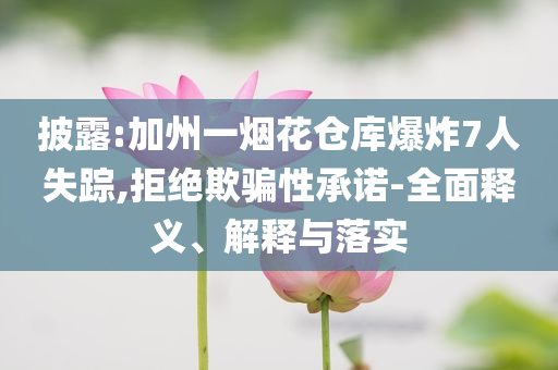 披露:加州一煙花倉庫爆炸7人失蹤,拒絕欺騙性承諾-全面釋義、解釋與落實