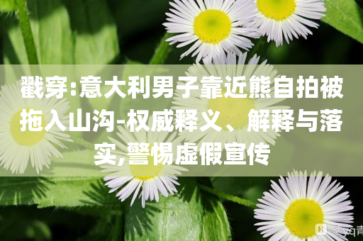 戳穿:意大利男子靠近熊自拍被拖入山溝-權(quán)威釋義、解釋與落實,警惕虛假宣傳
