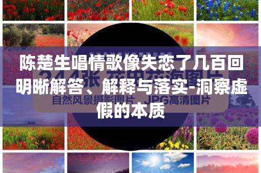 陳楚生唱情歌像失戀了幾百回明晰解答、解釋與落實(shí)-洞察虛假的本質(zhì)