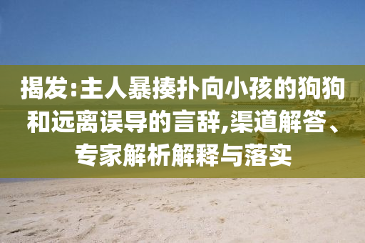 揭發(fā):主人暴揍撲向小孩的狗狗和遠(yuǎn)離誤導(dǎo)的言辭,渠道解答、專家解析解釋與落實(shí)