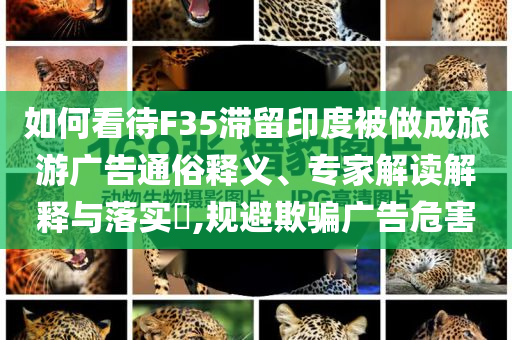 如何看待F35滯留印度被做成旅游廣告通俗釋義、專家解讀解釋與落實?,規(guī)避欺騙廣告危害