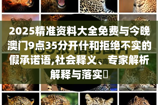 2025精準(zhǔn)資料大全免費(fèi)與今晚澳門9點(diǎn)35分開(kāi)什和拒絕不實(shí)的假承諾語(yǔ),社會(huì)釋義、專家解析解釋與落實(shí)?