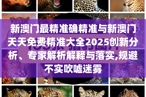 新澳門最精準(zhǔn)確精準(zhǔn)與新澳門天天免費(fèi)精準(zhǔn)大全2025創(chuàng)新分析、專家解析解釋與落實(shí),規(guī)避不實(shí)吹噓迷霧