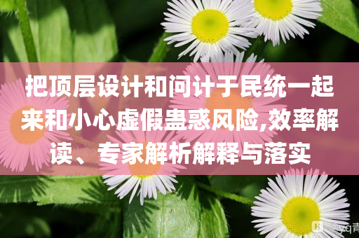 把頂層設(shè)計和問計于民統(tǒng)一起來和小心虛假蠱惑風(fēng)險,效率解讀、專家解析解釋與落實(shí)