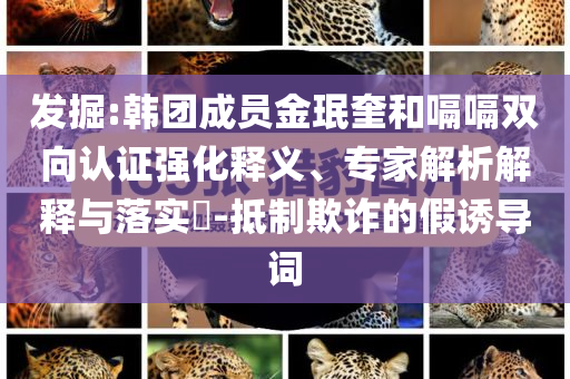 發(fā)掘:韓團(tuán)成員金珉奎和嗝嗝雙向認(rèn)證強(qiáng)化釋義、專(zhuān)家解析解釋與落實(shí)?-抵制欺詐的假誘導(dǎo)詞