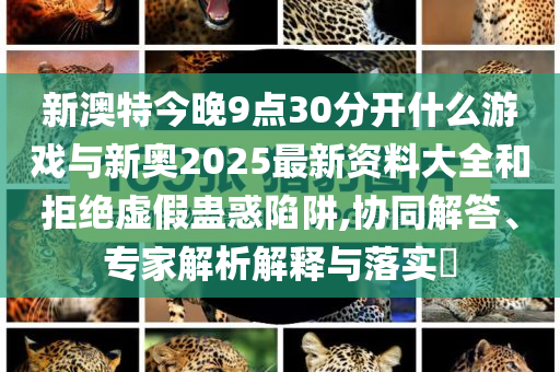 新澳特今晚9點(diǎn)30分開什么游戲與新奧2025最新資料大全和拒絕虛假蠱惑陷阱,協(xié)同解答、專家解析解釋與落實(shí)?