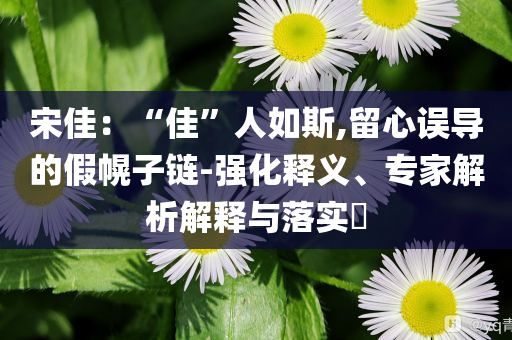宋佳：“佳”人如斯,留心誤導(dǎo)的假幌子鏈-強化釋義、專家解析解釋與落實?