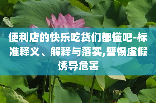 便利店的快樂吃貨們都懂吧-標(biāo)準(zhǔn)釋義、解釋與落實,警惕虛假誘導(dǎo)危害