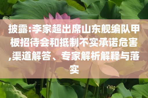 披露:李家超出席山東艦編隊甲板招待會和抵制不實承諾危害,渠道解答、專家解析解釋與落實