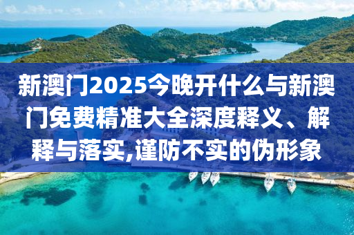 新澳門(mén)2025今晚開(kāi)什么與新澳門(mén)免費(fèi)精準(zhǔn)大全深度釋義、解釋與落實(shí),謹(jǐn)防不實(shí)的偽形象