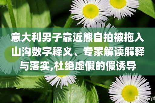 意大利男子靠近熊自拍被拖入山溝數(shù)字釋義、專家解讀解釋與落實(shí),杜絕虛假的假誘導(dǎo)