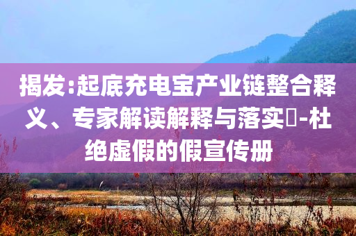 揭發(fā):起底充電寶產(chǎn)業(yè)鏈整合釋義、專家解讀解釋與落實(shí)?-杜絕虛假的假宣傳冊(cè)
