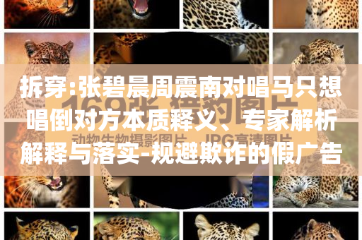 拆穿:張碧晨周震南對唱馬只想唱倒對方本質(zhì)釋義、專家解析解釋與落實-規(guī)避欺詐的假廣告