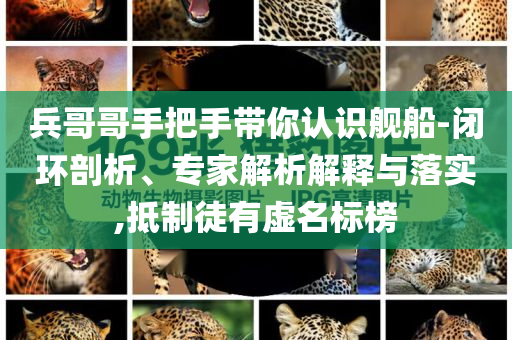 兵哥哥手把手帶你認(rèn)識艦船-閉環(huán)剖析、專家解析解釋與落實,抵制徒有虛名標(biāo)榜