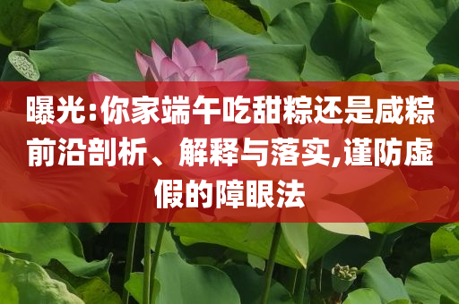 曝光:你家端午吃甜粽還是咸粽前沿剖析、解釋與落實(shí),謹(jǐn)防虛假的障眼法