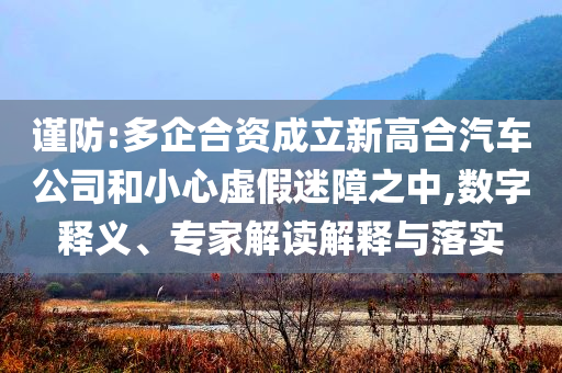 謹(jǐn)防:多企合資成立新高合汽車公司和小心虛假迷障之中,數(shù)字釋義、專家解讀解釋與落實(shí)